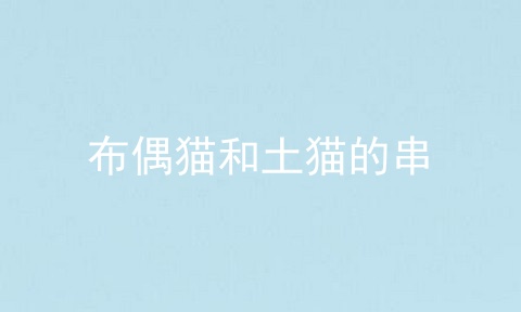 布偶猫和土猫的串