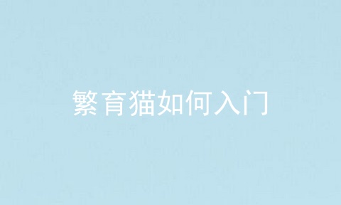 繁育猫如何入门