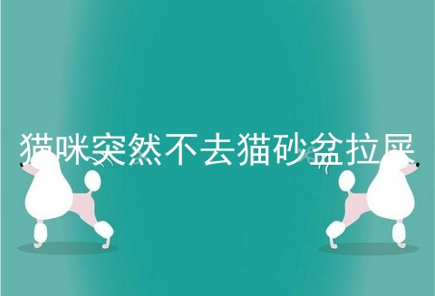 猫咪突然不去猫砂盆拉屎