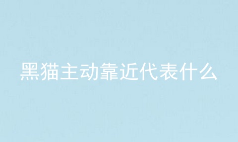 黑猫主动靠近代表什么