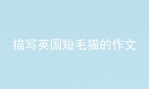 描写英国短毛猫的作文