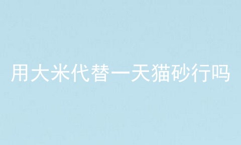 用大米代替一天猫砂行吗