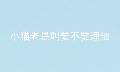 小猫老是叫要不要理他
