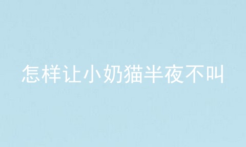 怎样让小奶猫半夜不叫