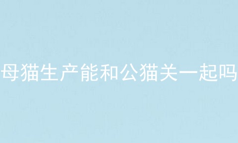 母猫生产能和公猫关一起吗