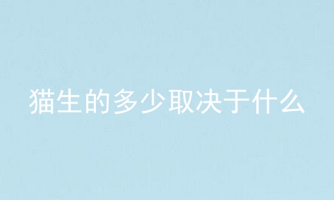 猫生的多少取决于什么