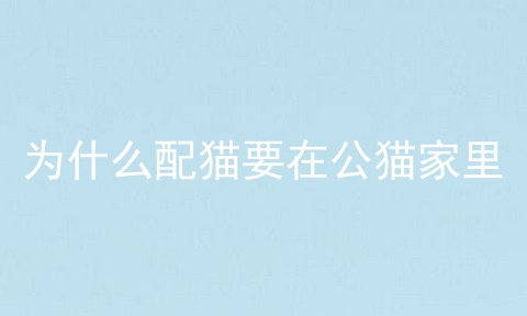 为什么配猫要在公猫家里