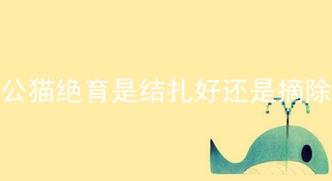 公猫绝育是结扎好还是摘除