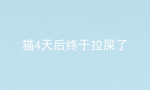 猫4天后终于拉屎了