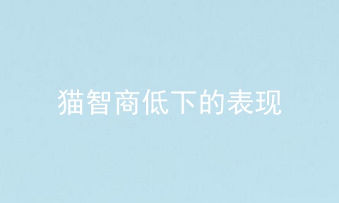猫智商低下的表现