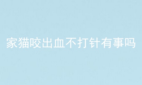 家猫咬出血不打针有事吗