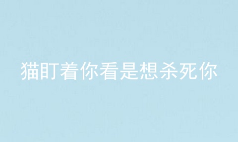 猫盯着你看是想杀死你