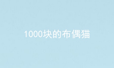 1000块的布偶猫