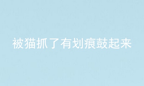 被猫抓了有划痕鼓起来