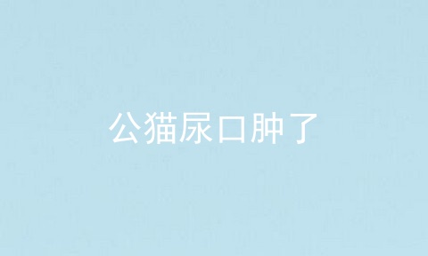 公猫尿口肿了