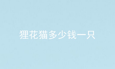 狸花猫多少钱一只