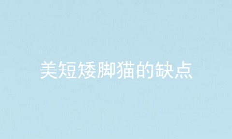 美短矮脚猫的缺点