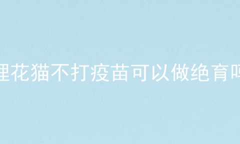 狸花猫不打疫苗可以做绝育吗