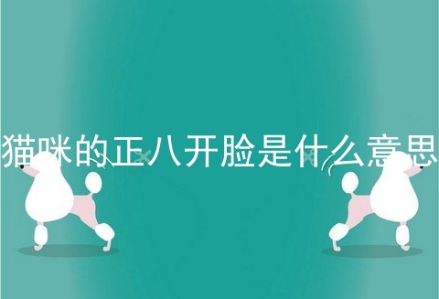 猫咪的正八开脸是什么意思