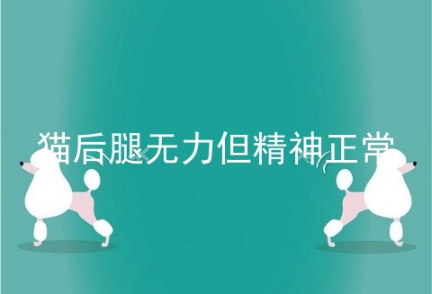 猫后腿无力但精神正常