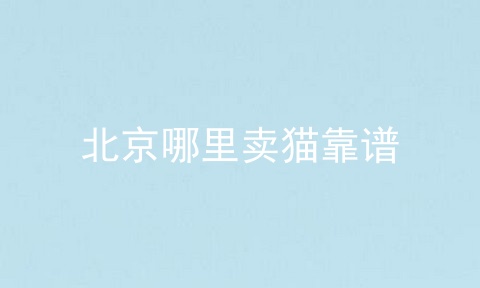 北京哪里卖猫靠谱