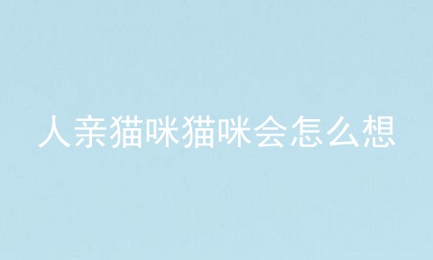 人亲猫咪猫咪会怎么想