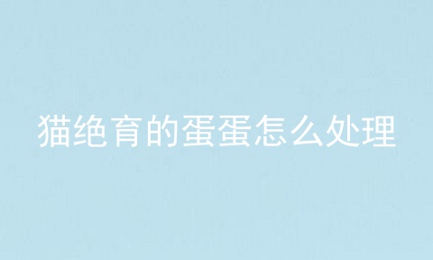 猫绝育的蛋蛋怎么处理