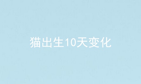 猫出生10天变化