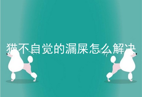 猫不自觉的漏屎怎么解决
