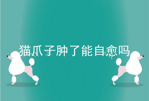猫爪子肿了能自愈吗