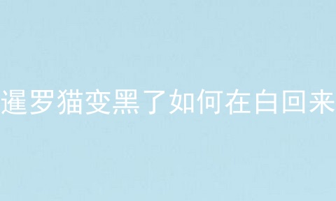 暹罗猫变黑了如何在白回来