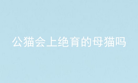 公猫会上绝育的母猫吗