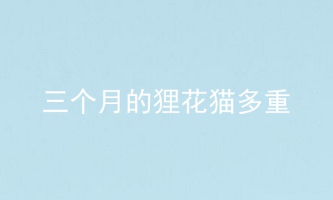 三个月的狸花猫多重