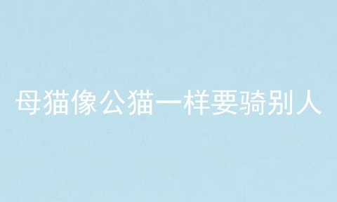 母猫像公猫一样要骑别人