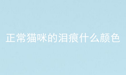 正常猫咪的泪痕什么颜色