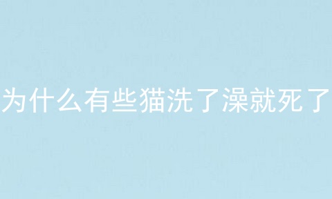 为什么有些猫洗了澡就死了