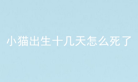 小猫出生十几天怎么死了