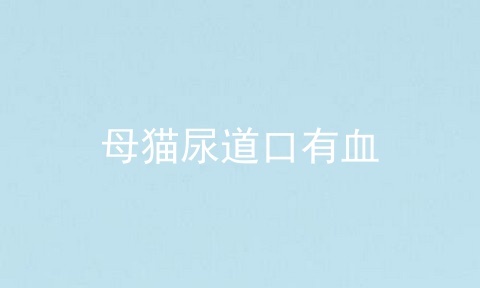 母猫尿道口有血