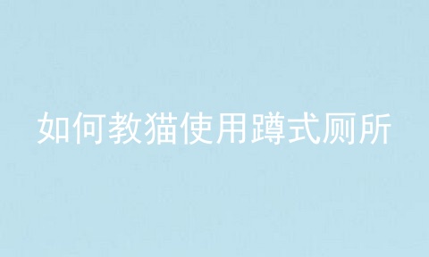 如何教猫使用蹲式厕所