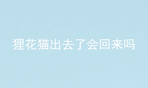 狸花猫出去了会回来吗