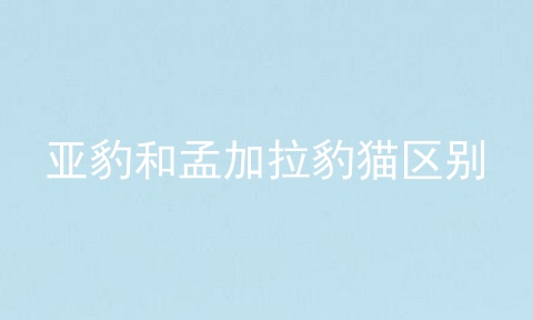 亚豹和孟加拉豹猫区别