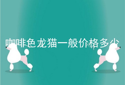 咖啡色龙猫一般价格多少