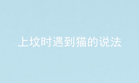 上坟时遇到猫的说法
