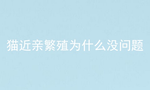 猫近亲繁殖为什么没问题
