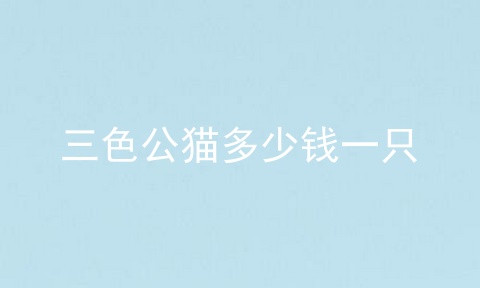 三色公猫多少钱一只