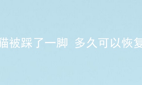 猫被踩了一脚 多久可以恢复