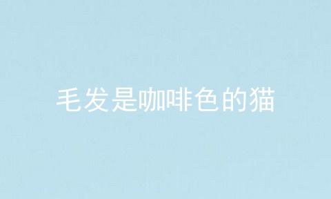 毛发是咖啡色的猫