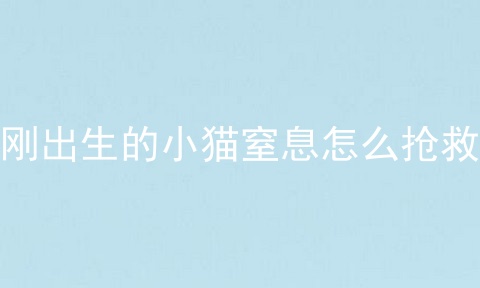 刚出生的小猫窒息怎么抢救