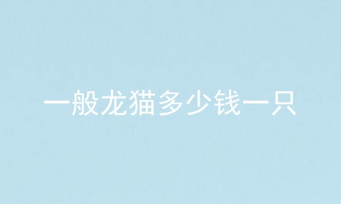 一般龙猫多少钱一只