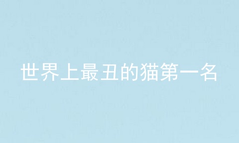 世界上最丑的猫第一名